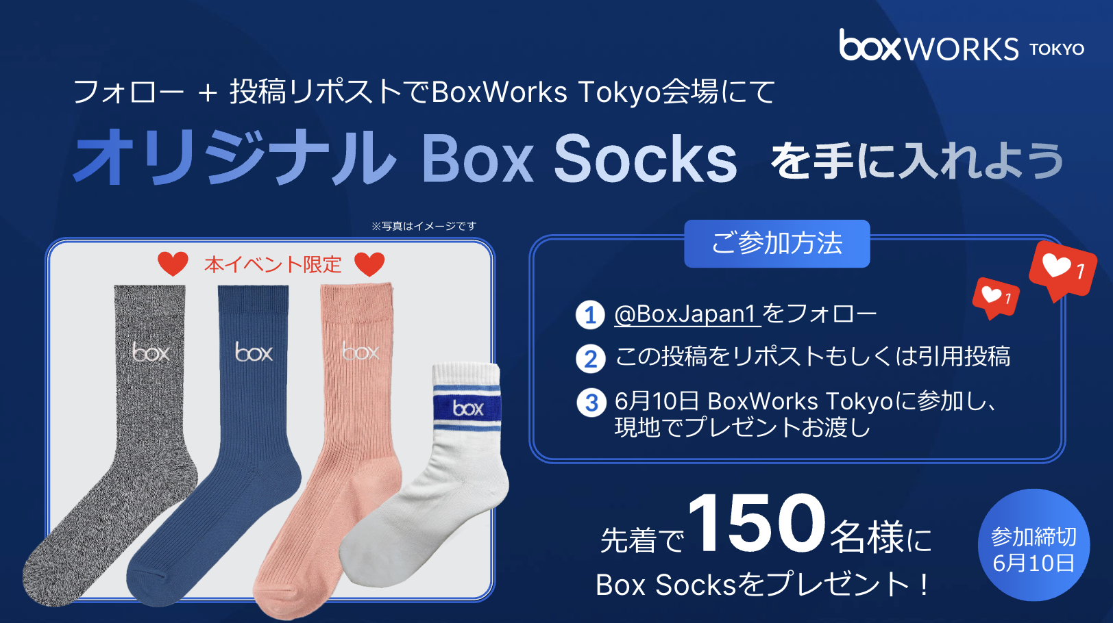 LP用BoxSocksバナー
