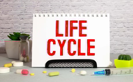 社会人なら知っておきたい文書ライフサイクルの基礎知識