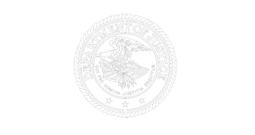 vision-logo05