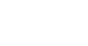 vision-logo06